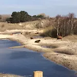 Badhotel Rockanje