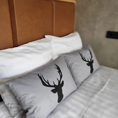 Badhotel Otel Rockanje