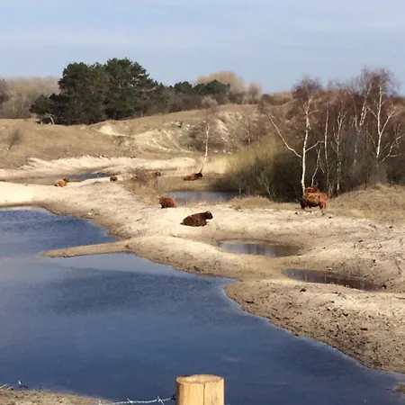 Badhotel Rockanje