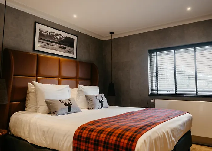 فندق Badhotel 3*