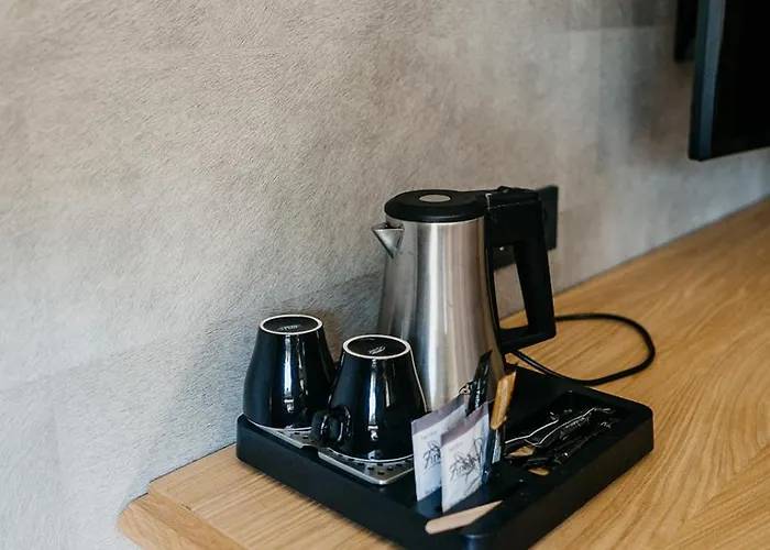 Отель Badhotel 3*