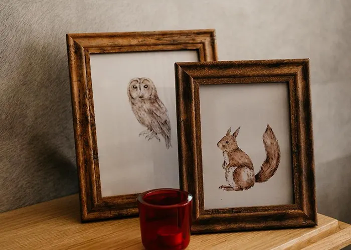 Badhotel מלון רוקאנייה